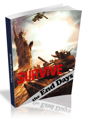 Survive the End Days